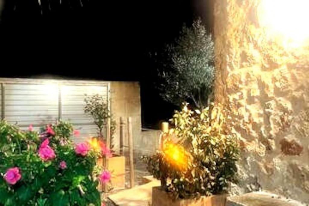 La Gardana, Casa De Campo Mallorquina Holiday home Porreres